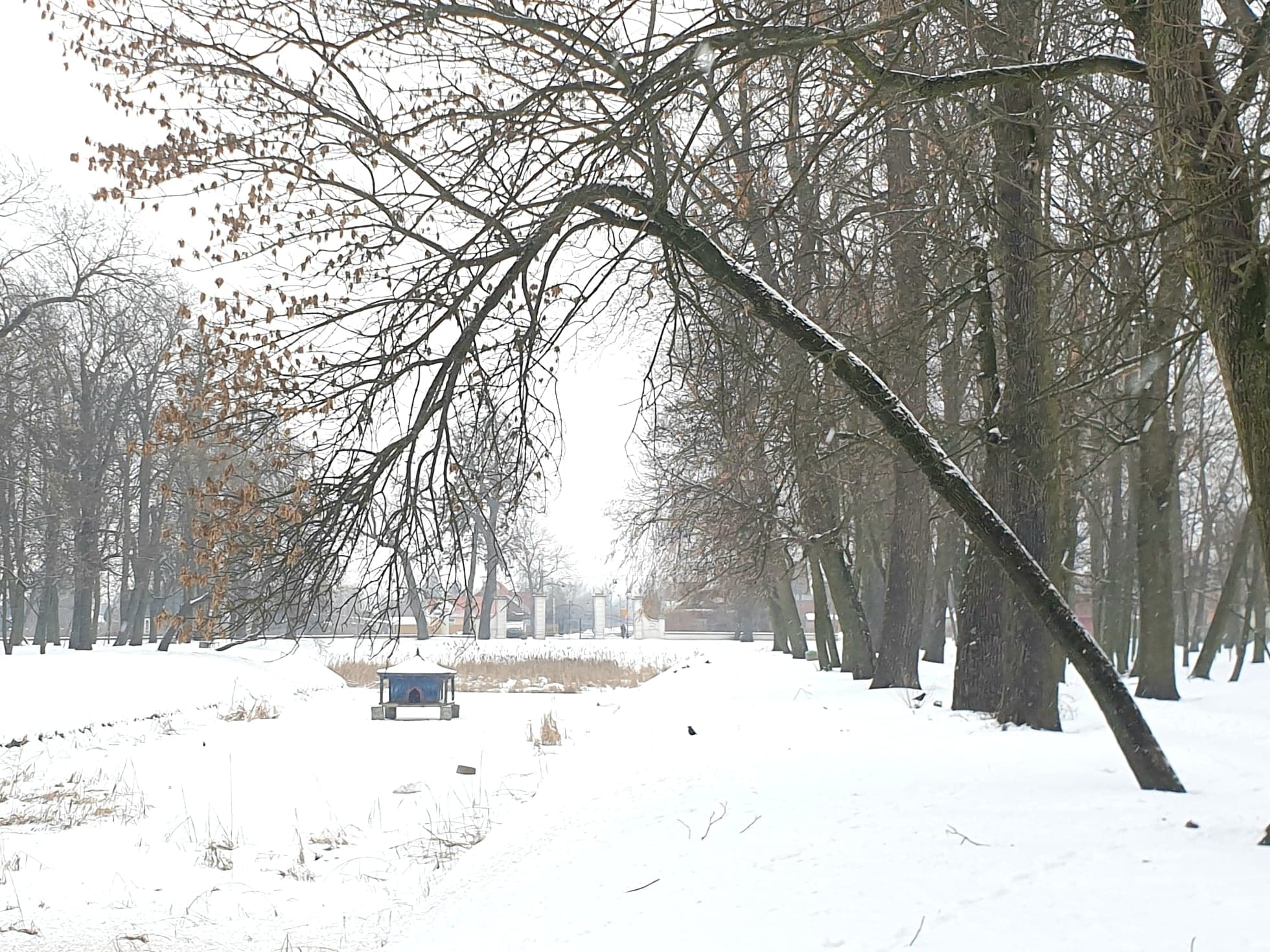 Miasto robi porządek w parku - Zdjęcie główne