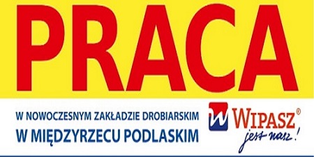 Wipasz poszukuje pracowników - Zdjęcie główne