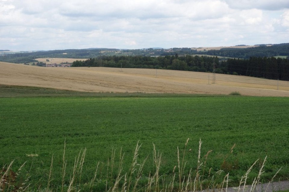 Zespół Szkół Rolniczych w Woli Osowińskiej zaprasza na szkolenie - Zdjęcie główne