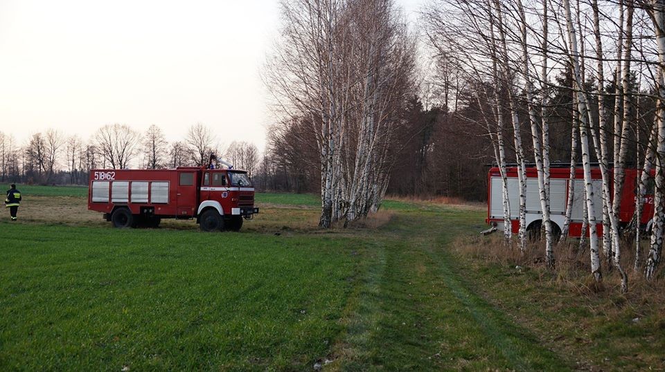 Strażacy gaszą  podpalane suche trawy. Apelujemy o rozsądek  - Zdjęcie główne