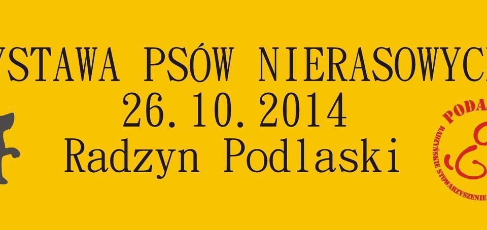 Kundelki wyjdą na wybieg już 26 października - Zdjęcie główne