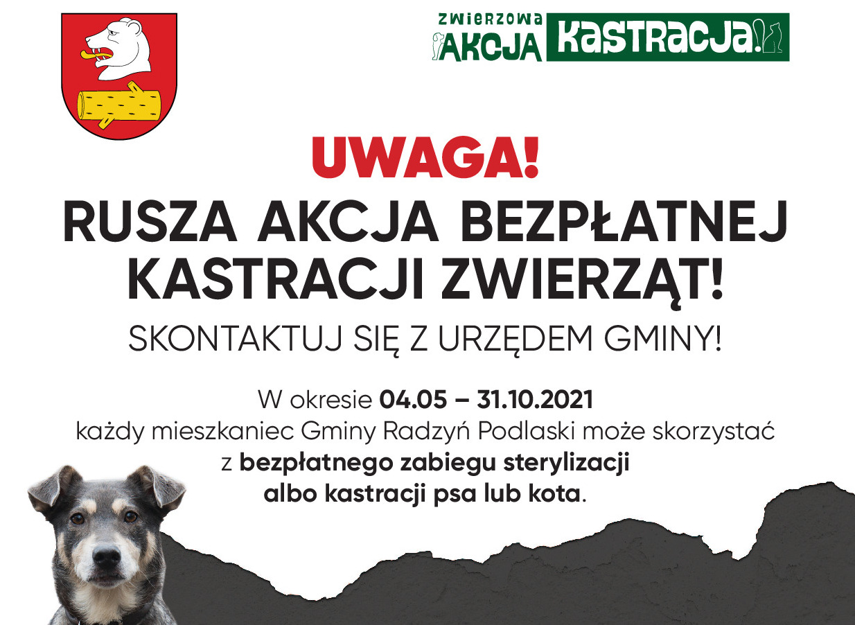  Bezpłatna kastracja zwierząt w gm. Radzyń - Zdjęcie główne