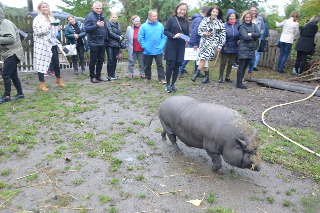 Lokalne Grupy Działania z naszego regionu zachęcają do lubelskiej turystyki kulinarnej - Zdjęcie główne