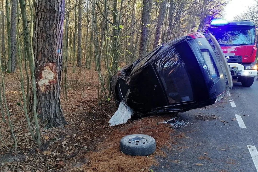 Powiat radzyński: Auto uderzyło w drzewo. Kilka osób rannych - Zdjęcie główne