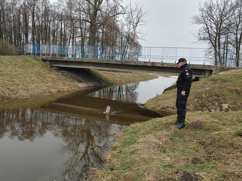 Stan alarmowy  stanu wody na rzece Krzna  - Zdjęcie główne