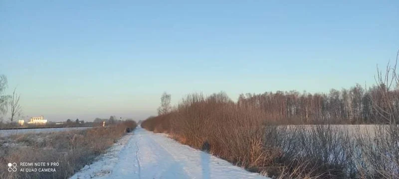  Pogoda w Radzyniu Podlaskim. Prognoza na nadchodzący tydzień.  - Zdjęcie główne