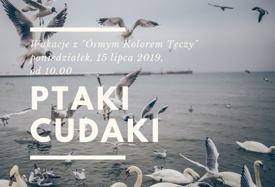 "Ptaki cudaki" w "Ósmym Kolorze Tęczy" - Zdjęcie główne