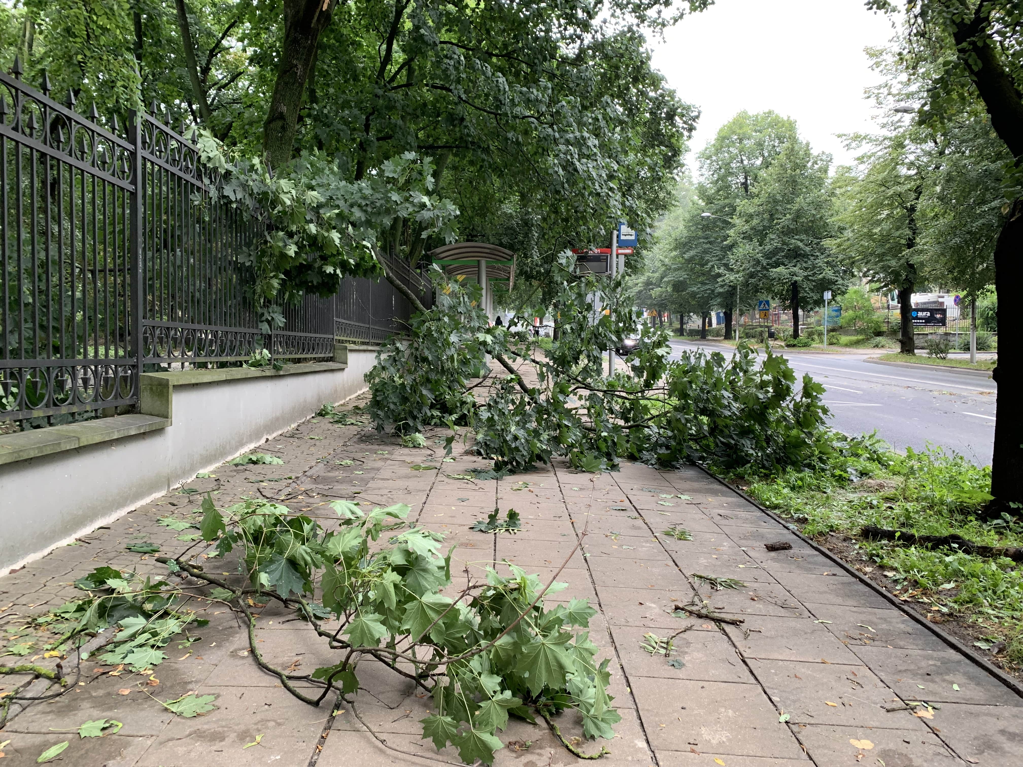 W nocy przez Lublin przeszła nawałnica