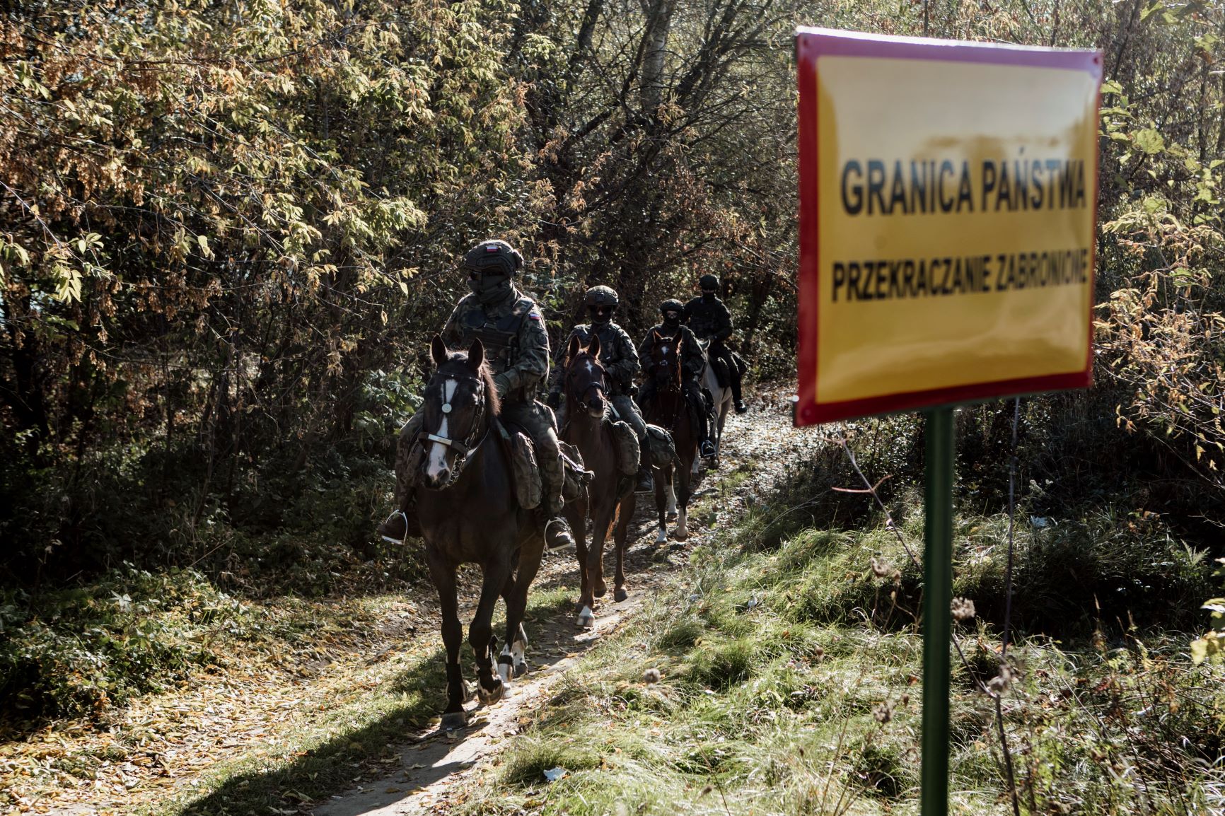 Województwo lubelskie: Terytorialsi na koniach patrolują tereny objęte stanem wyjątkowym - Zdjęcie główne