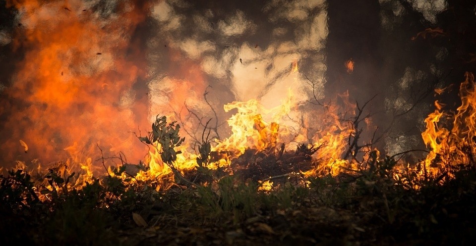 3 najwyższy stopień zagrożenia pożarowego w lubelskich lasach! - Zdjęcie główne