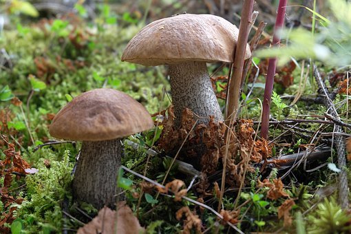 Pogoda w Twojej okolicy. Prognoza na wtorek 31 sierpnia. - Zdjęcie główne