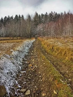 Pogoda w Twojej okolicy. Prognoza na wtorek 14 grudnia. - Zdjęcie główne