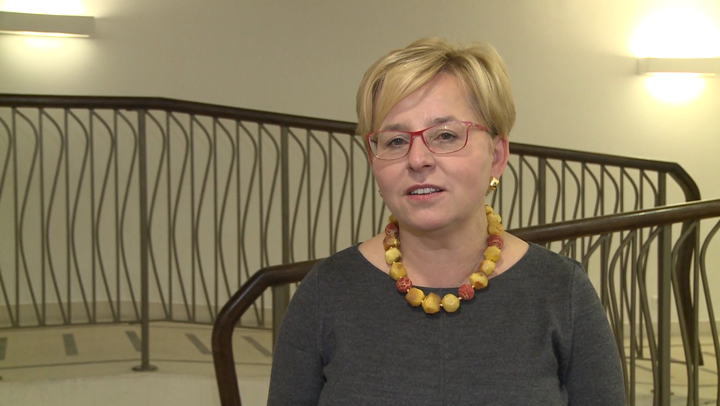 Centra handlowe coraz bardziej atrakcyjne dla reklamodawców - Zdjęcie główne