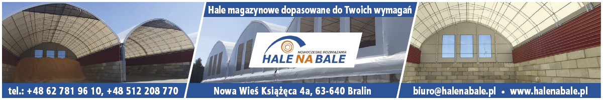 Reklama lokalna