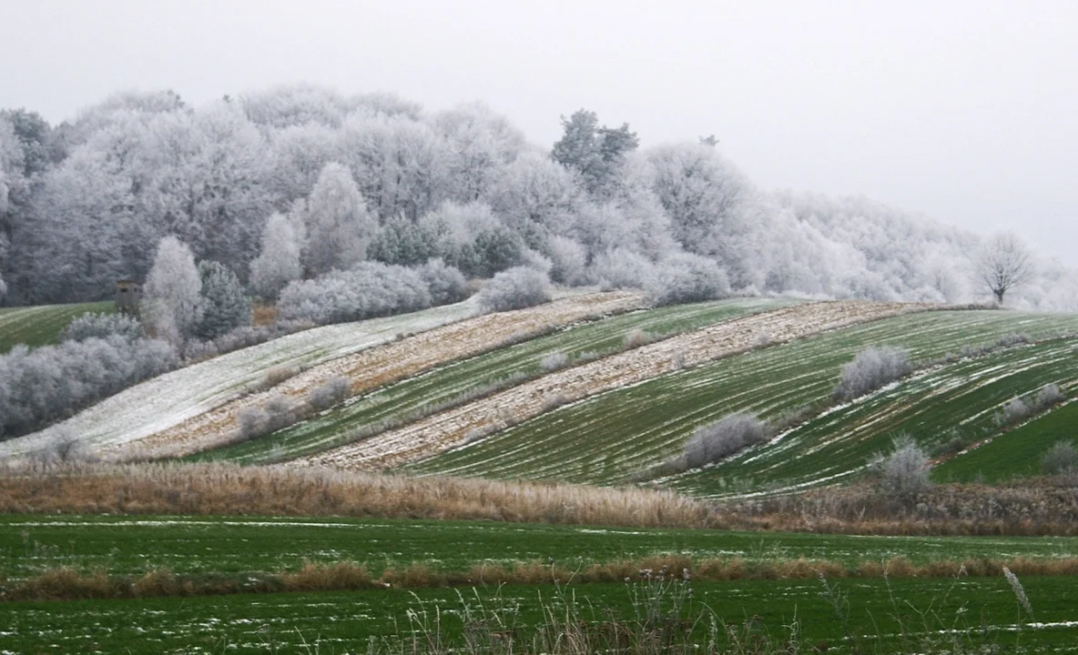 Polska Toskania? My to mamy na Roztoczu! (foto) - Zdjęcie główne
