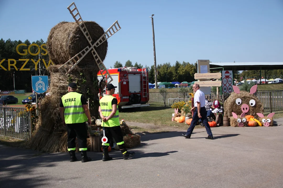 Tłumy na dożynkach w Krzywdzie. Wieńce, turniej sołectw i disco polo