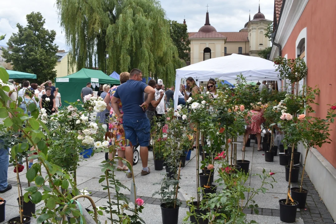 Święto Róż w Końskowoli