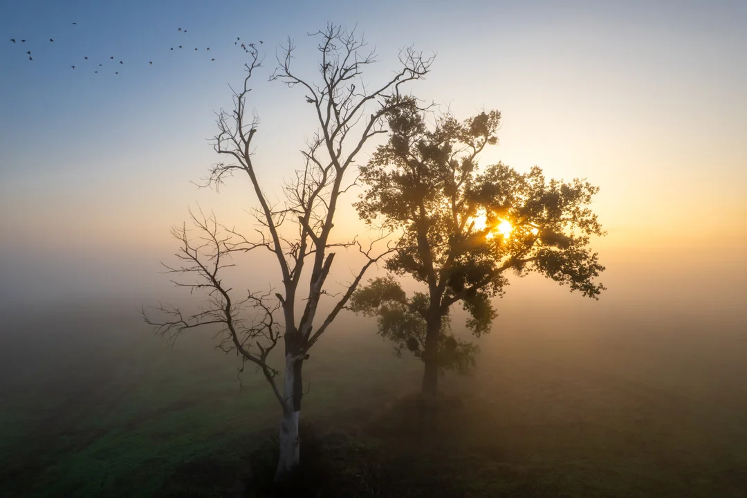 Cała Polska patrzy na to, co pokazali w Zwierzyńcu - Zdjęcie główne