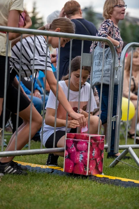 Swięto Truskawki  w Górę Puławską