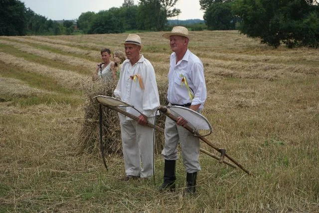 Żniwa w Bronicach