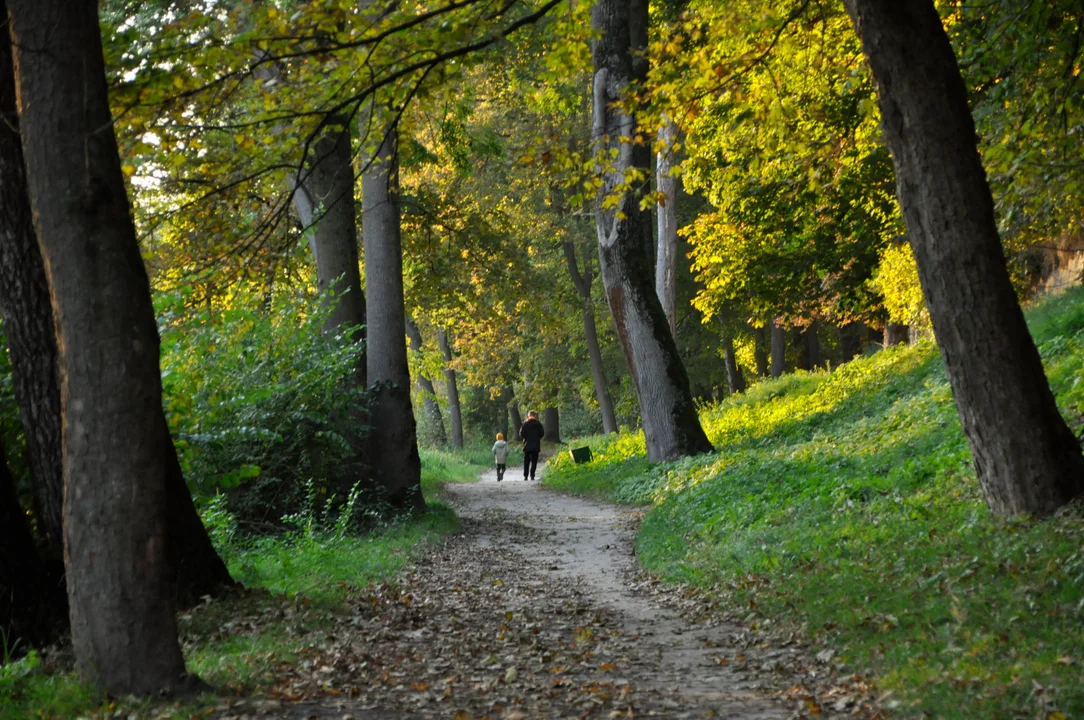 Jesień w Parku Czartoryskich