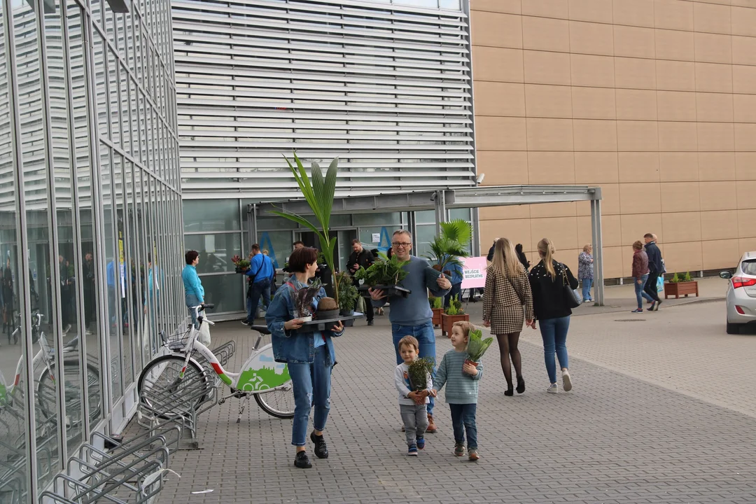 Festiwal Roślin w Targach Lublin