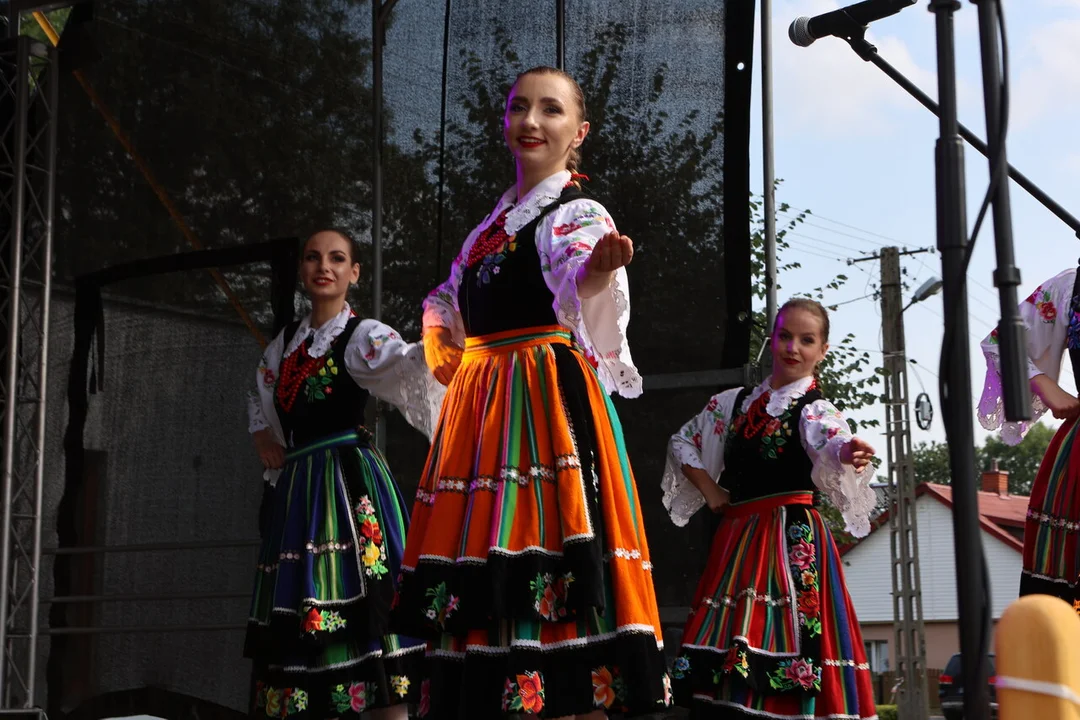 Dożynki w Puchaczowie. Zespół Pieśni i Tańca „Jawor” zaprezentował kulturę naszego regionu. ZDJĘCIA i WIDEO - Zdjęcie główne