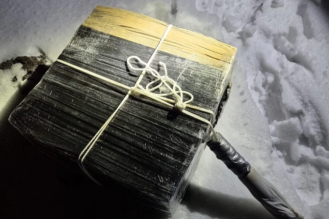 Lubelskie: Strażnicy graniczni rozbili grupę przestępczą. Zajmowała się przemytem papierosów balonami meteorologicznymi