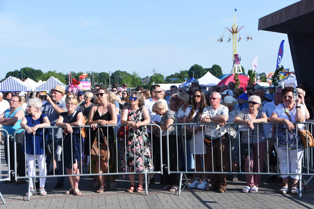 Koncert Andrzeja Rybińskiego podczas Dni Łukowa 2024