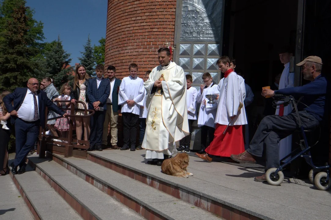 I Komunia Święta w Parafii p.w. Brata Alberta w Puławach