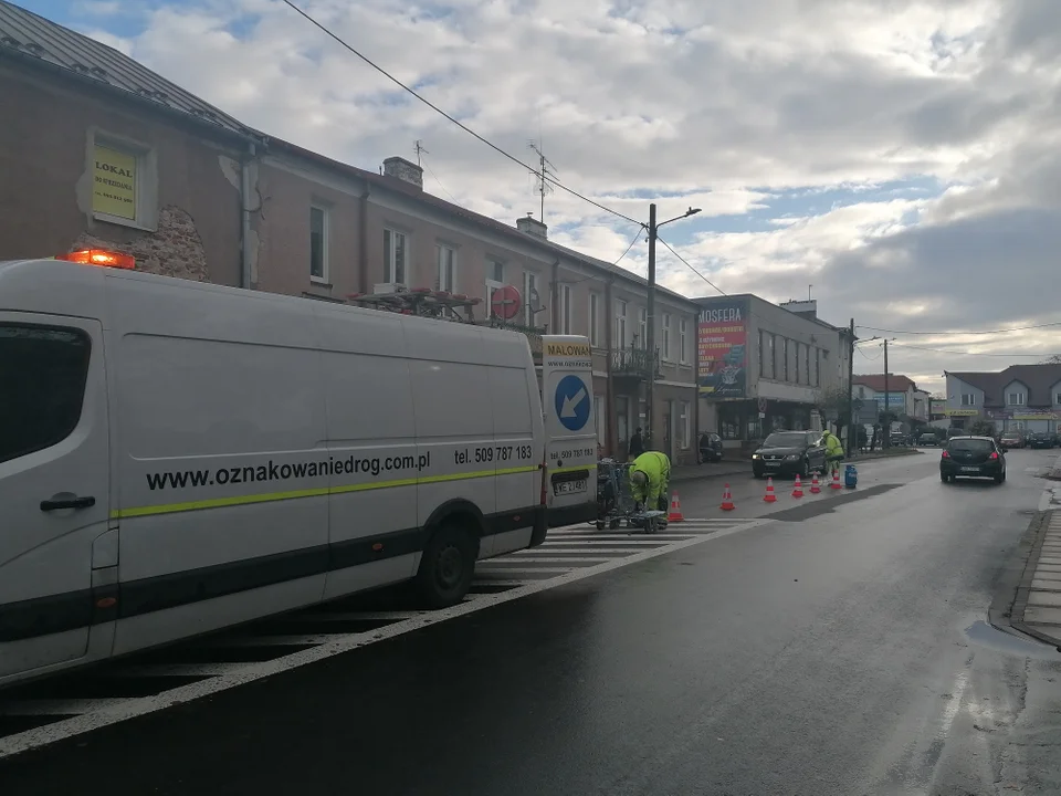 Opole Lubelskie: Zebry wróciły do centrum miasta (ZDJĘCIA) - Zdjęcie główne