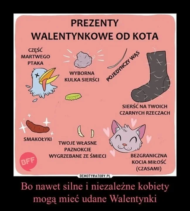 14 lutego na wesoło. Walentynkowa galeria memów