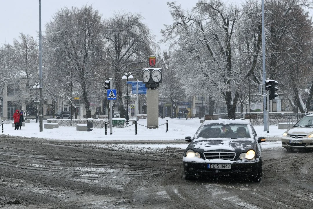 W Łukowie sypnęło śniegiem. Kogo zaskoczyła zima? (zdjęcia) - Zdjęcie główne