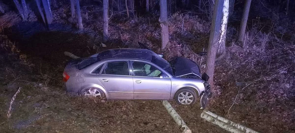 Powiat radzyński: Zwierzę wbiegło wprost pod samochód. Auto wylądowało na drzewie