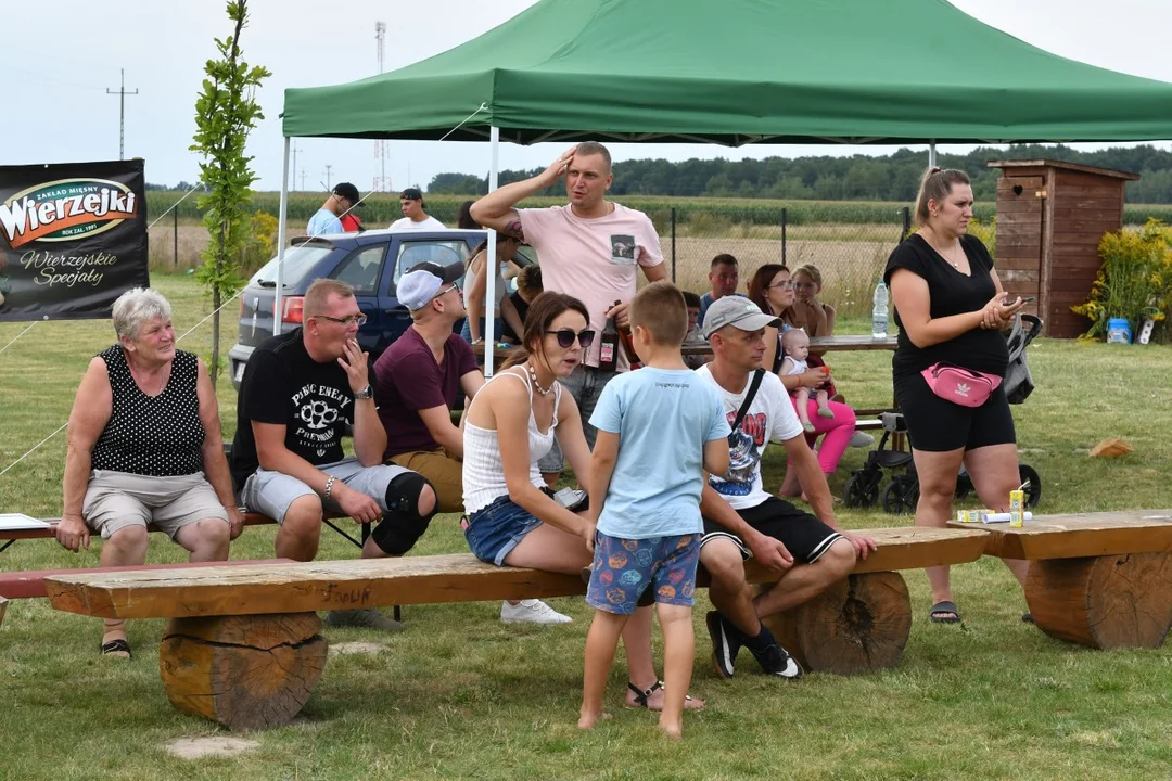 W Strzyżewie podczas pikniku charytatywnego wsparli leczenie Karolka (ZDJĘCIA cz. I) - Zdjęcie główne