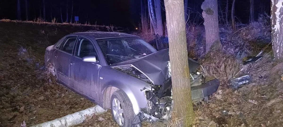 Powiat radzyński: Uwaga na dzikie zwierzęta! Auto wylądowało na drzewie - Zdjęcie główne