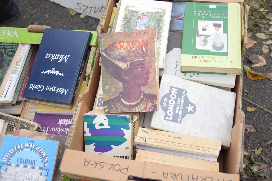 Pchli Targ w niedzielę 5 listopada