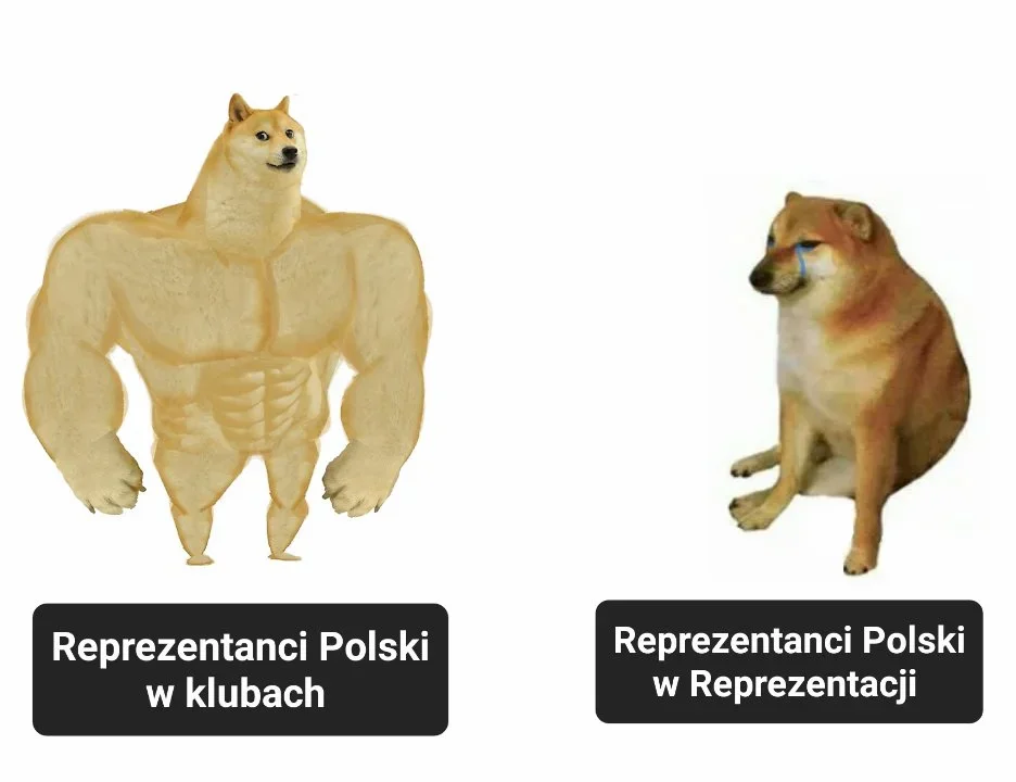 Katastrofa w Pradze - memy po meczu Czechy - Polska