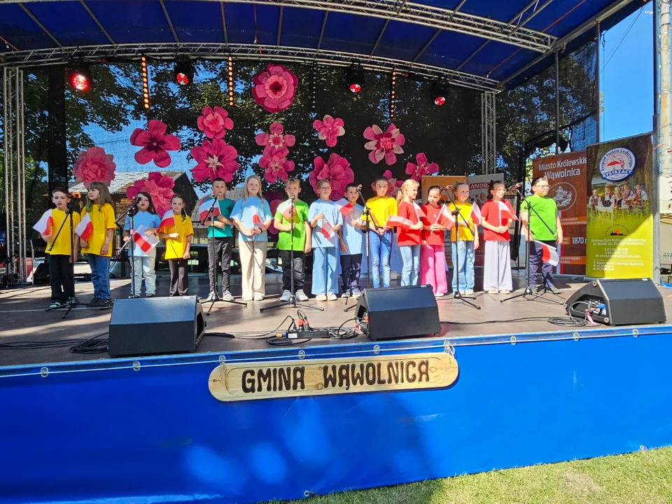 Dni Wąwolnicy - II Dzień (galeria)