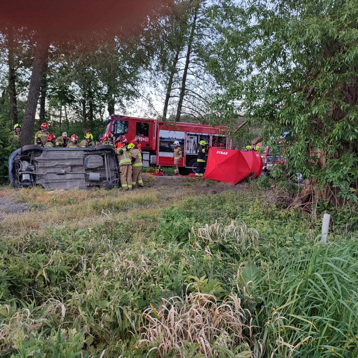 Kolonia Borów: Tragiczny wypadek. Nie żyje kierowca opla (ZDJĘCIA) - Zdjęcie główne