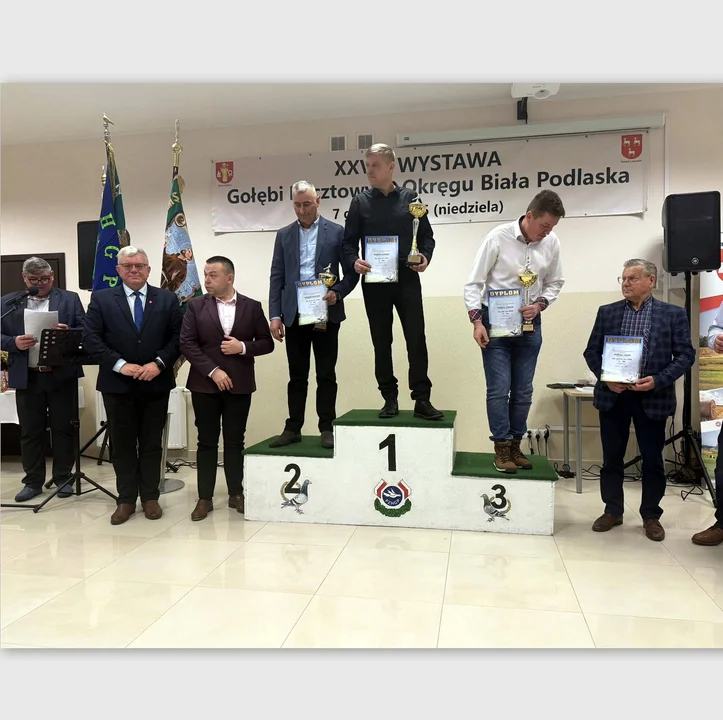 Kosuty gospodarzem XXVIII Wystawy Gołębi Pocztowych Okręgu Biała Podlaska - Zdjęcie główne