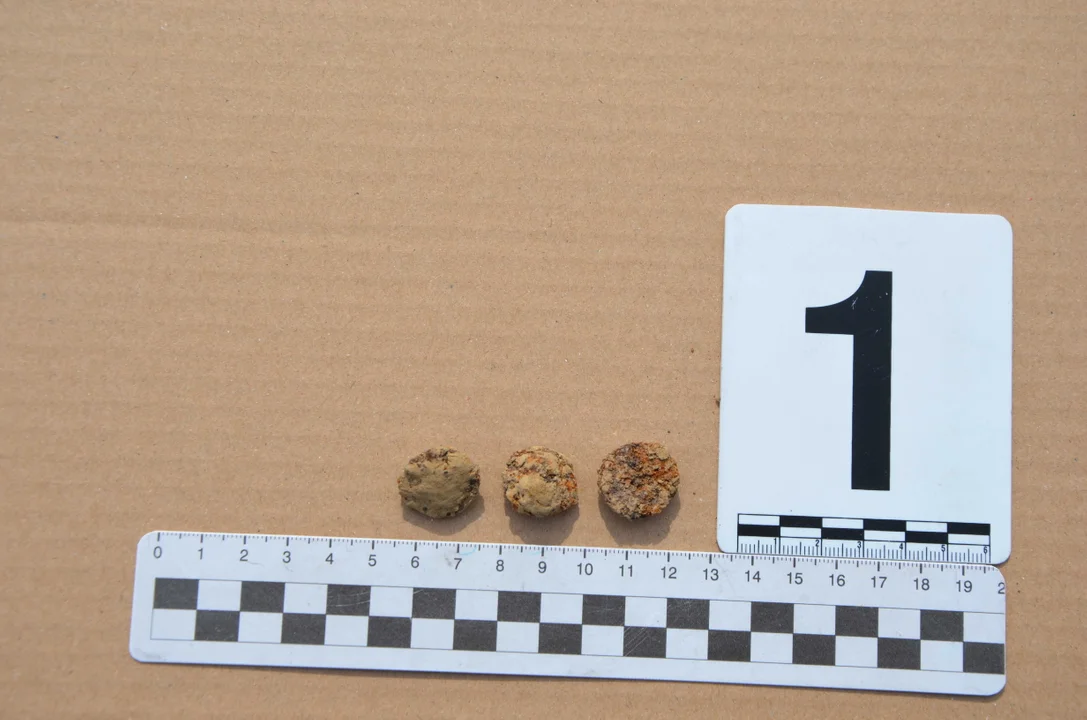 IPN na tropie ofiar z katowni Zamku Lubelskiego. Sprawdzali cmentarz przy ul. Unickiej