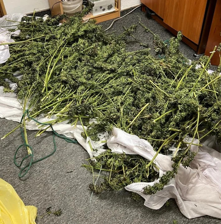 Powiat bialski: Odpowie za uprawę i wytworzenie narkotyków. Policja znalazła ponad 6 kg!