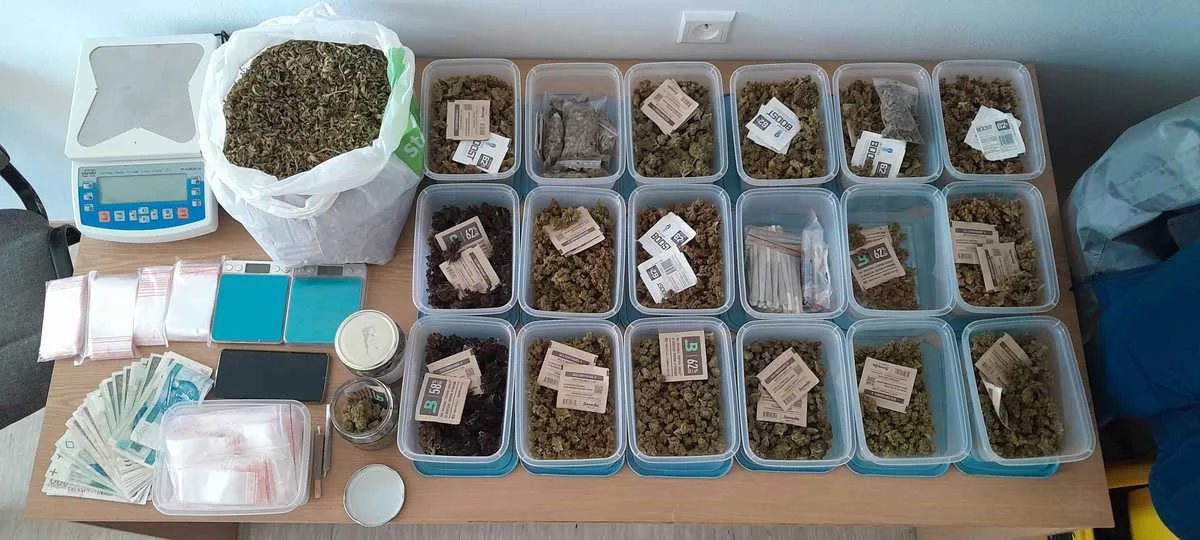Akcja antynarkotykowa w gminie Maciejowice. 29-latek miał w ogródku plantację konopi
