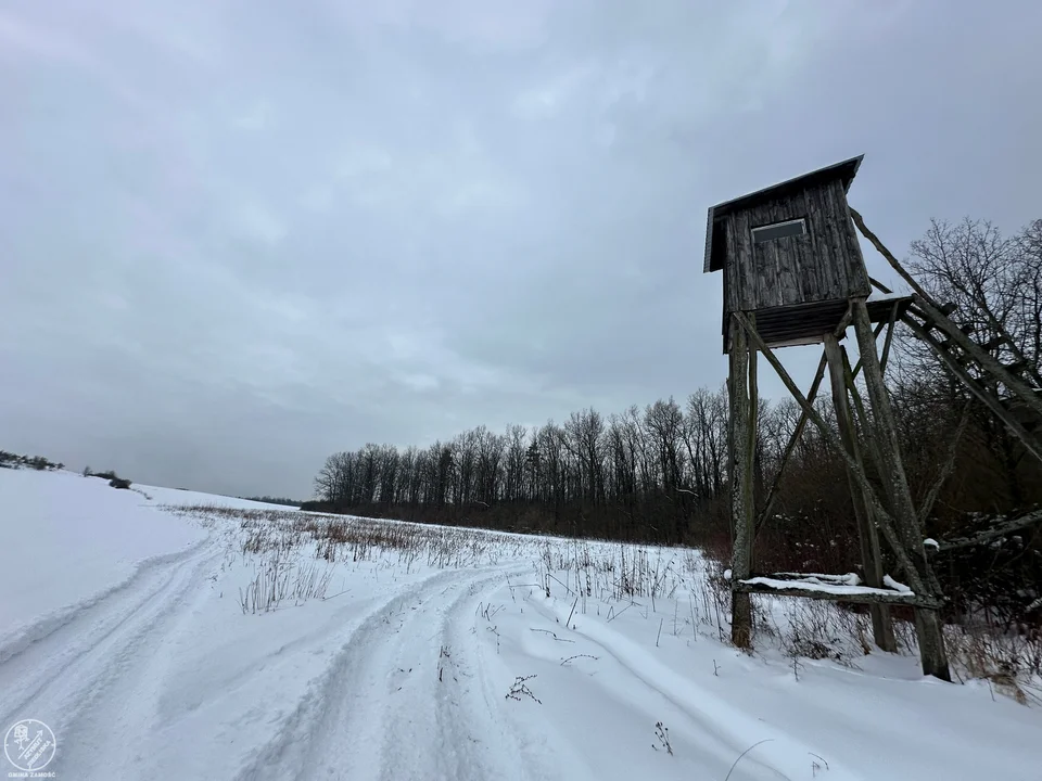 Kto się tego nie wystraszy w gminie Zamość? - Zdjęcie główne