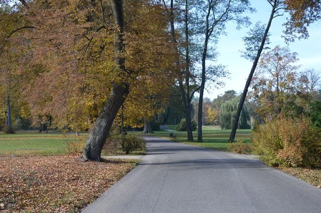 Opole Lubelskie: Kto zgubił włosy w parku? (ZDJĘCIA) - Zdjęcie główne