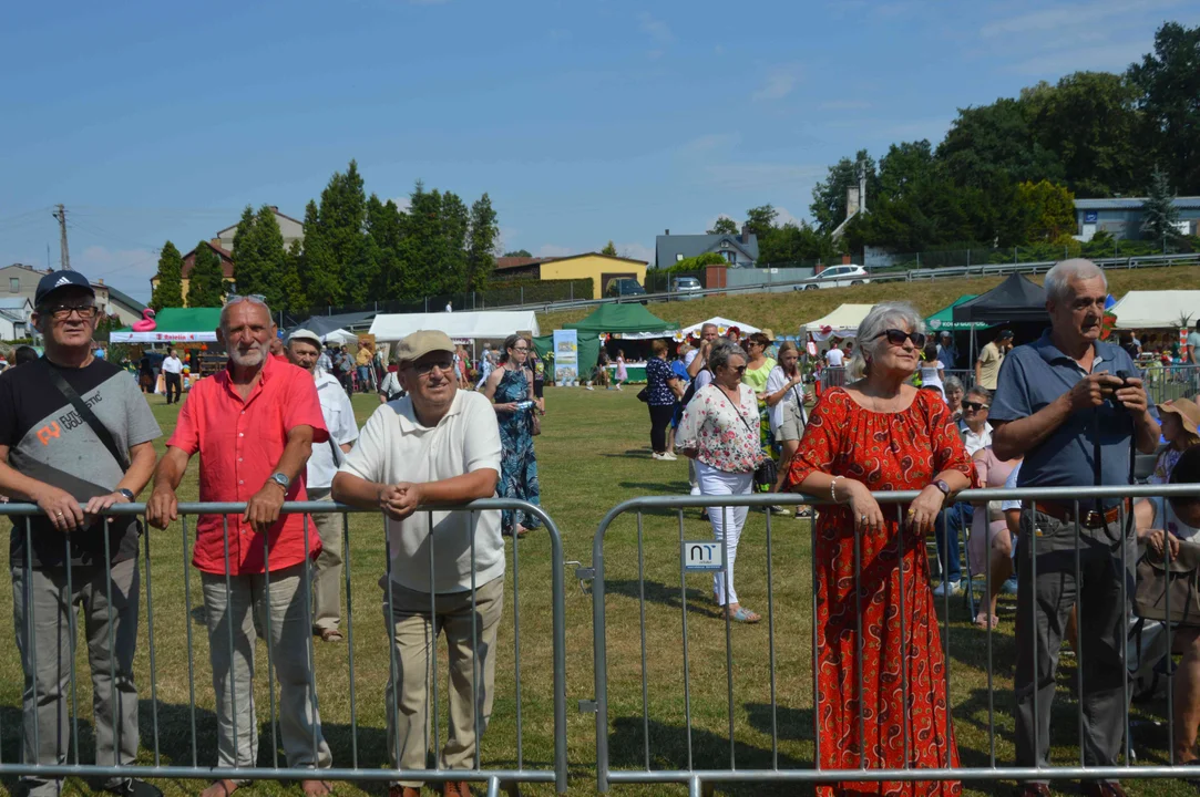 "Truskawkobranie" w Górze Puławskiej