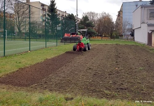 Łąka kwietna przy Szkole Podstawowej nr 4 w Łukowie