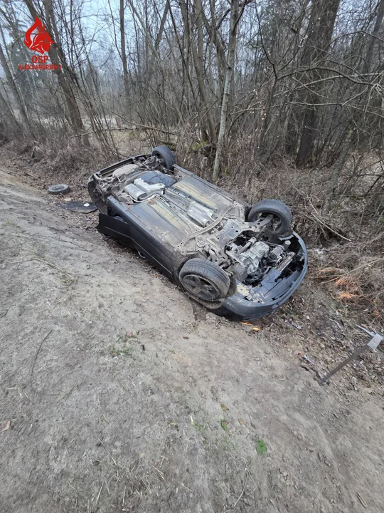 Dachowanie w Aleksandrowie