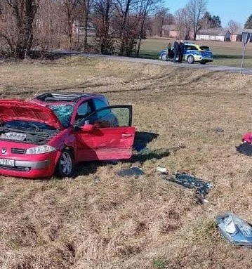 Dachowanie w Czernięcinie